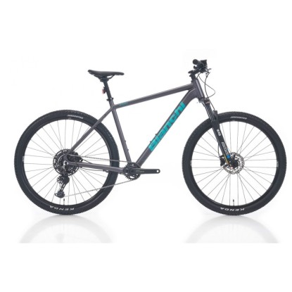 Bianchi Magma Comp 9.1 Cues 1x10-V HD Dağ Bisikleti - Mat Gri-Metalize Celeste